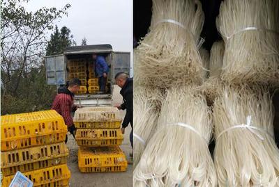 重慶中煙涪陵卷煙廠助銷蒲板村農副產品，點亮鄉村振興之路