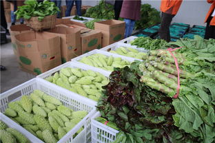 龍里縣灣灘河園區(qū) 貴州雙龍現(xiàn)代農(nóng)副產(chǎn)品收購(gòu)點(diǎn)的崛起與機(jī)遇